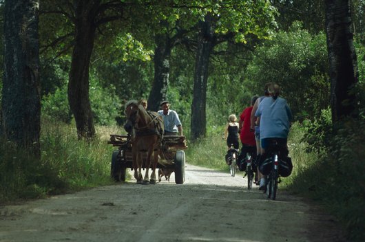 Begegnung mit der Vergangenheit