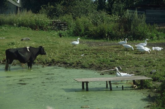 Hofidylle in Masuren