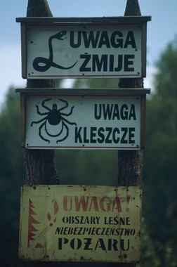 Warnschilder am Waldrand