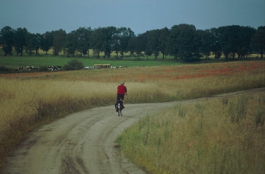 Masurische Landschaft