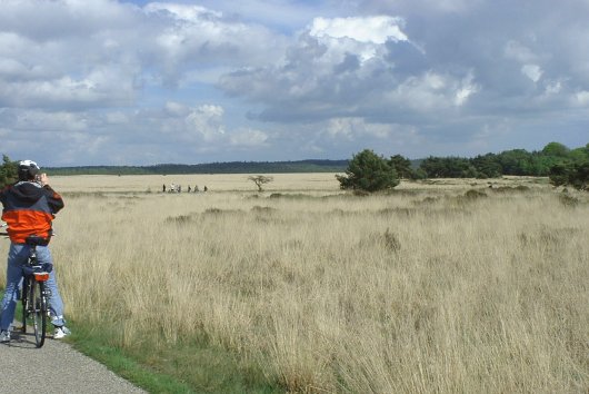 Hoge Veluwe