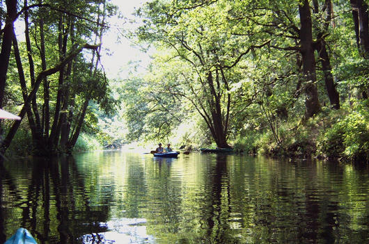 Paddeln auf der Drawa