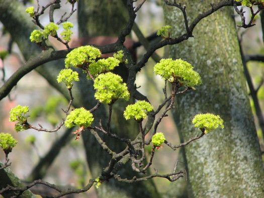 Frühling in Nürnberg