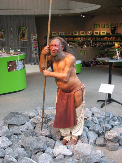 Der Neandertaler