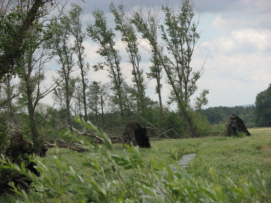 Sturmsch&auml;den am Westufer
