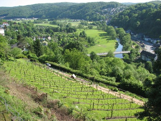 Weinberg und Ruhrtal