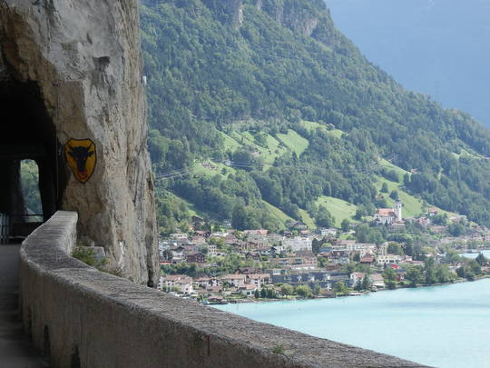 Stra&szlig;entunnel mit Fl&uuml;elen