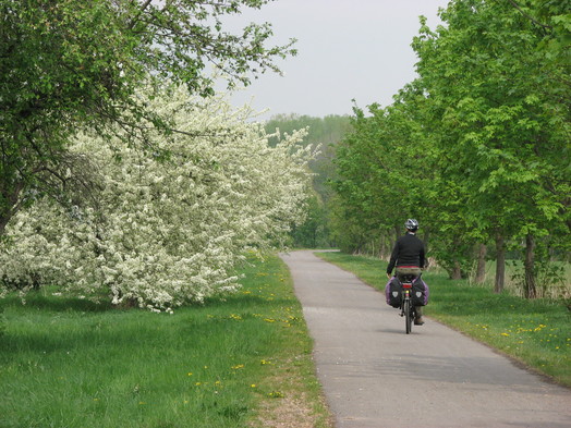 Unstrutradweg hinter S&ouml;mmerda