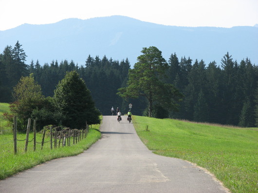 Die Alpen kommen in Sicht
