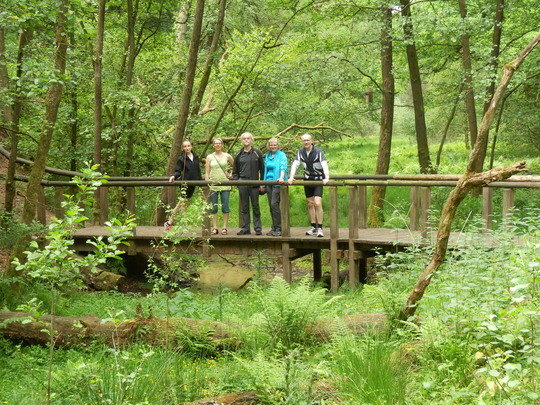 Emsbr&uuml;cke dicht bei der Quelle