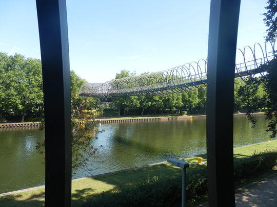 Sinky Springs to Fame