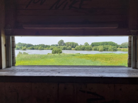 Steinhorster Becken: Blick aus dem Aussichtsturm
