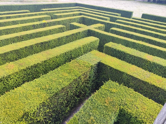 Kopf und K&ouml;rper-Labyrinth