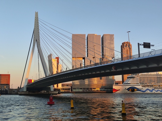 Erasmusbrug Erasmusbrug