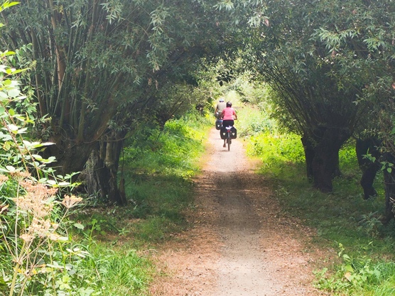 Im Nationalpark De Biesbosch Im Nationalpark De Biesbosch