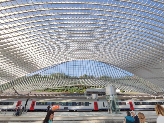 Li&egrave;ge-Guillemins