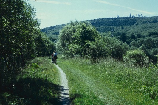 Auf dem Diemelradweg